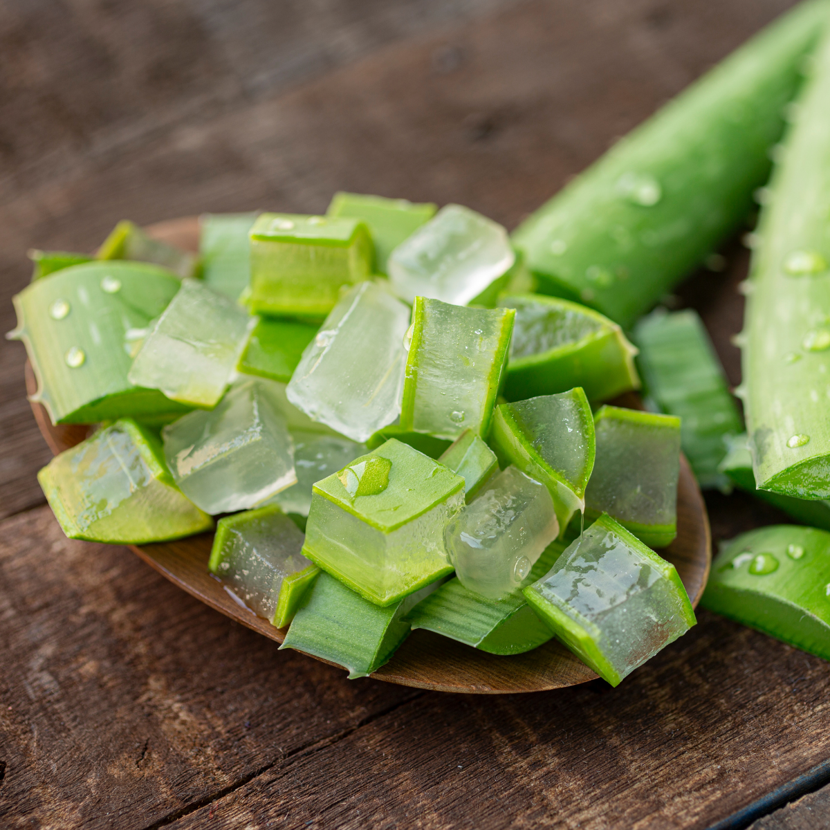 Aloe Vera - Imagen 3