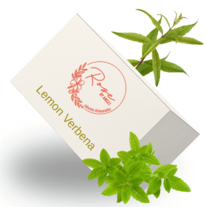 Limón Verbena / Lemon Verbena